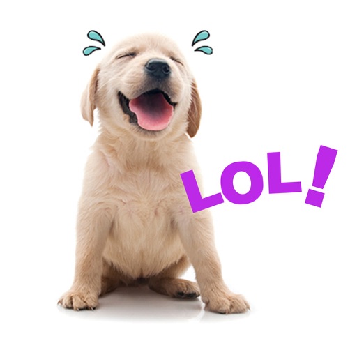 Rescue Petmoji