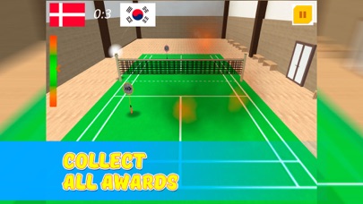 Super Legend of Badminton screenshot 3