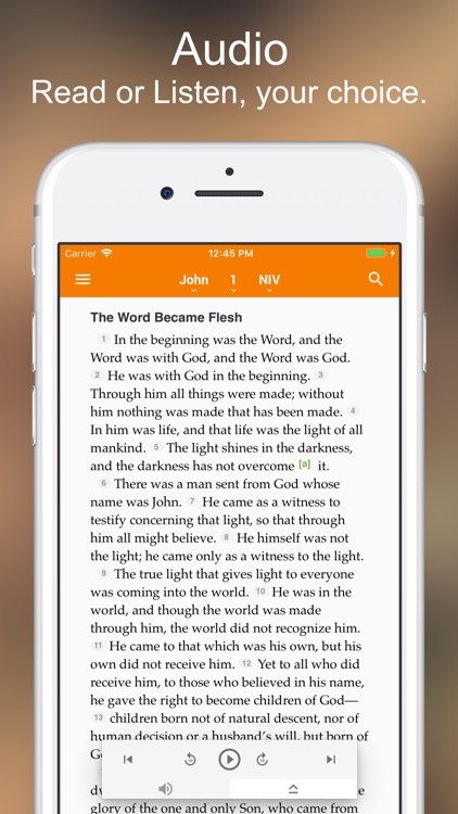 Message Bible+ screenshot-3