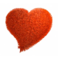 Çevirmece  Eylenceli zeka oyunu