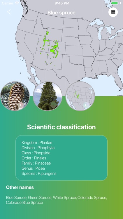 Conifers screenshot-5
