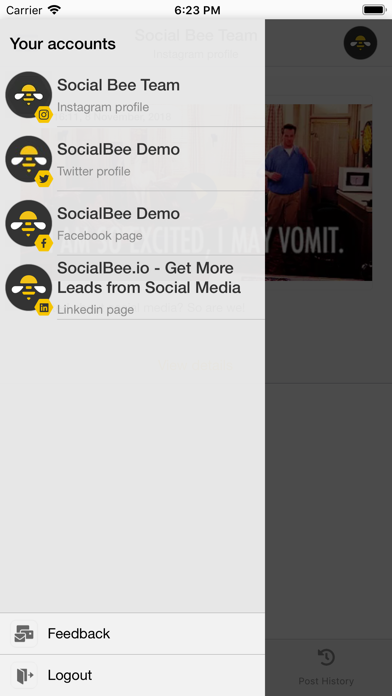 SocialBee.com screenshot 3