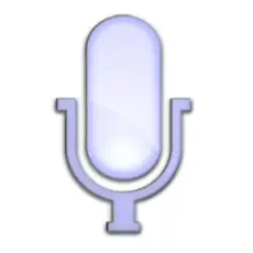 Application Voice Actions 17+