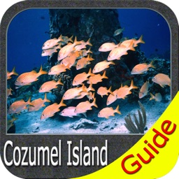 Cozumel Island charts GPS offline map Navigator