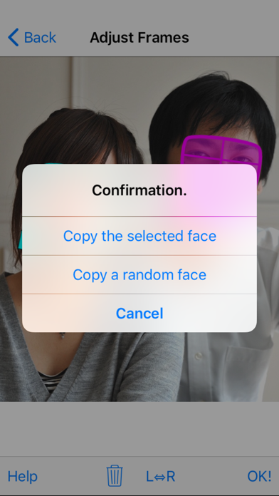 FaceCopy Camera screenshot 4