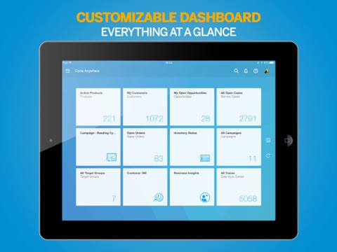 SAP Anywhere for iPad screenshot 2
