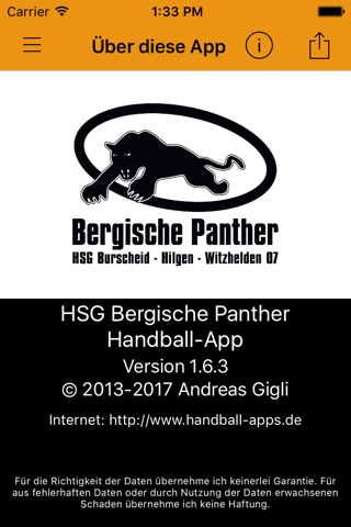 HSG Bergische Panther screenshot 4