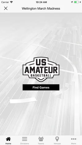 Game screenshot FL US Amateur Basketball hack