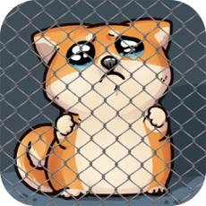 Activities of Shibo Dog-Virtual Pet Minigame