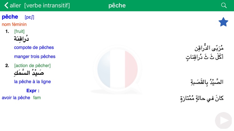 Dictionnaire d'arabe Larousse