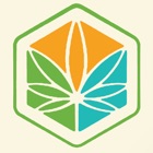 Cannabis News Box