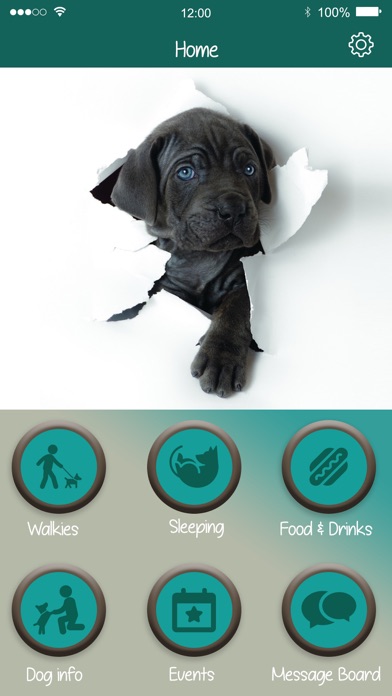 Dogs Life App screenshot 2