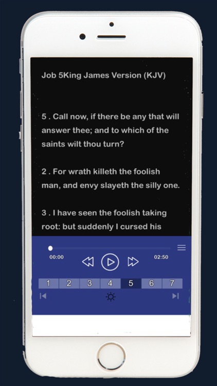 kjv audio bible. screenshot-3