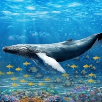 Baleine bleue Défi de survie pour PC