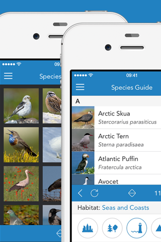 iKnow Birds 2 PRO - Europe screenshot 2