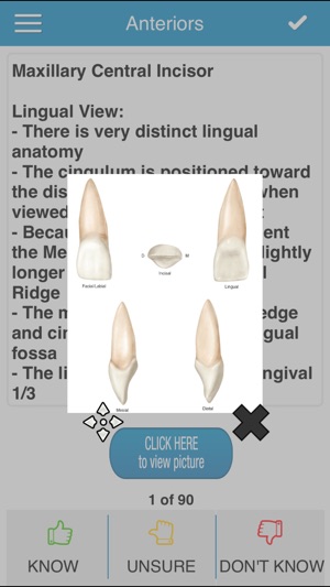 ADAT Dental Anatomy Cram Cards(圖2)-速報App