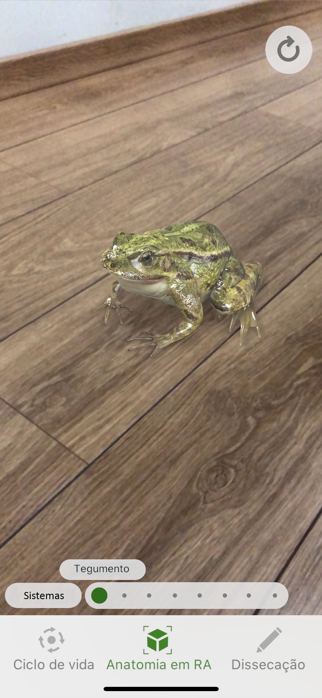 Screenshot do app Froggipedia