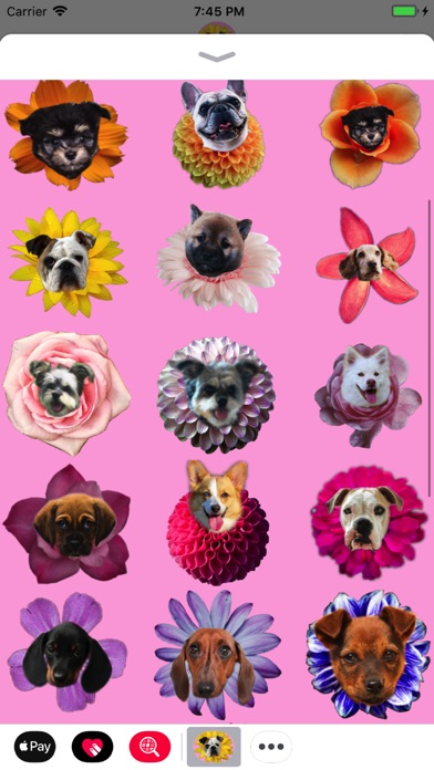Puppy Bouquet screenshot 4