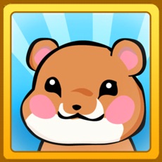 Activities of Hamster Chase