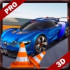 Car Skilled Drive Adventure Park