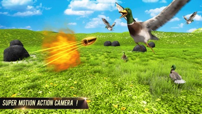 How to cancel & delete Duck Hunting Animal Shooting from iphone & ipad 4