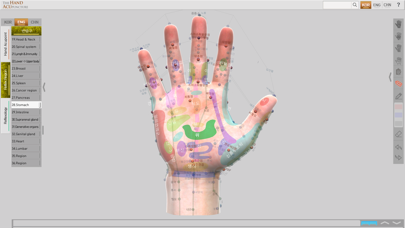 Hand Acupuncture screenshot 4