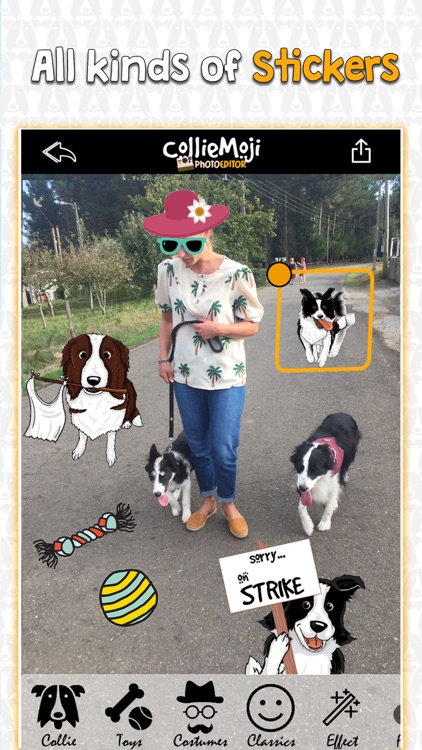 CollieMoji Photo Editor screenshot-3