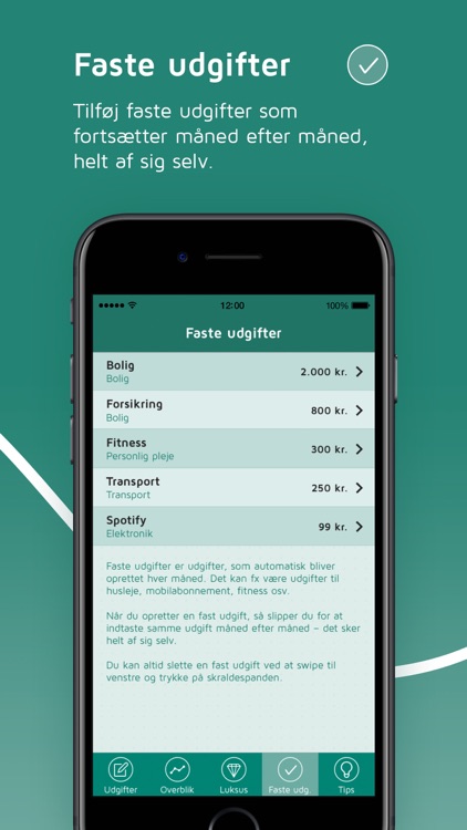 Lommebudget screenshot-3
