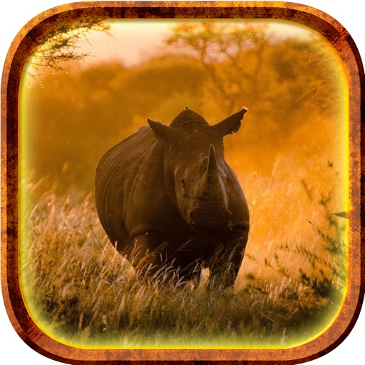 Wild Life Animals Wallpaper icon