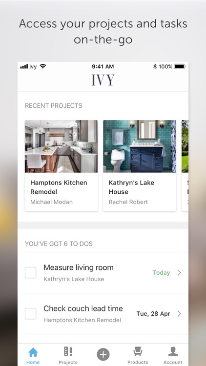 Ivy.co