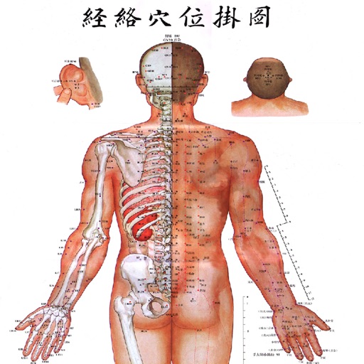 全套高清人体穴位图