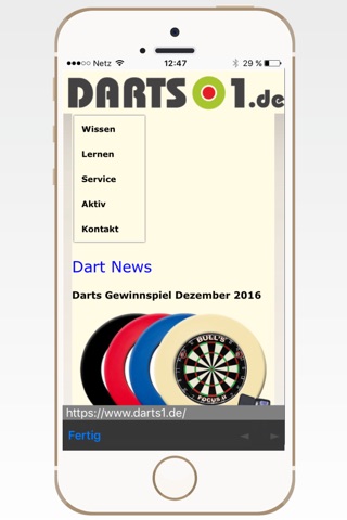 Darts1 screenshot 4