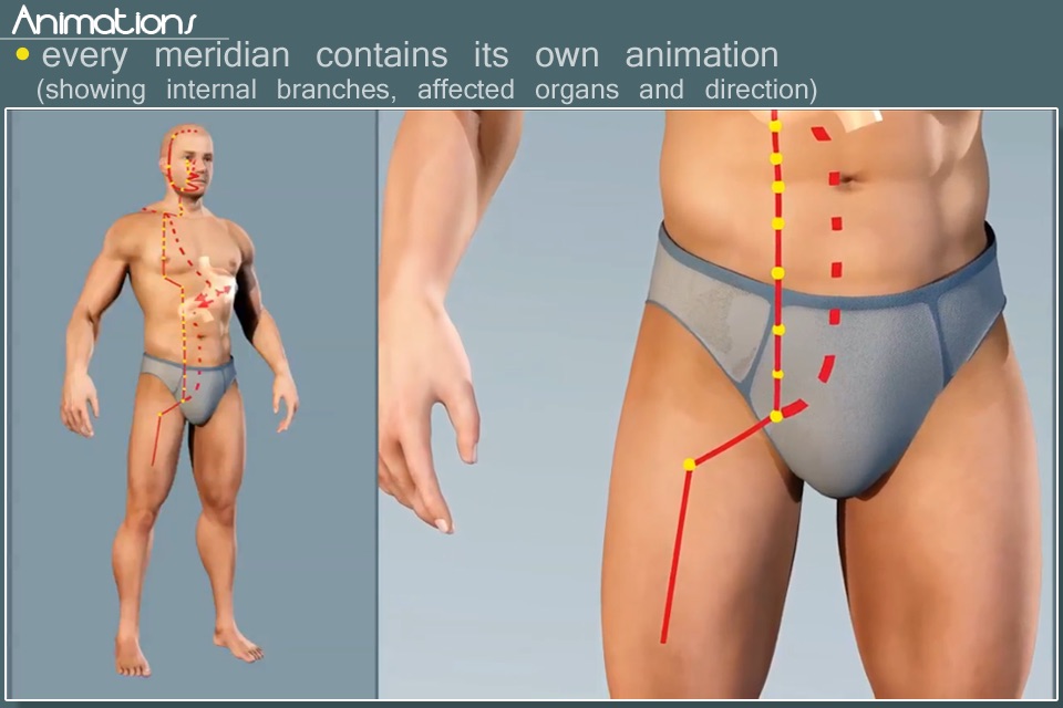 Easy Acupuncture 3D -FULL screenshot 4