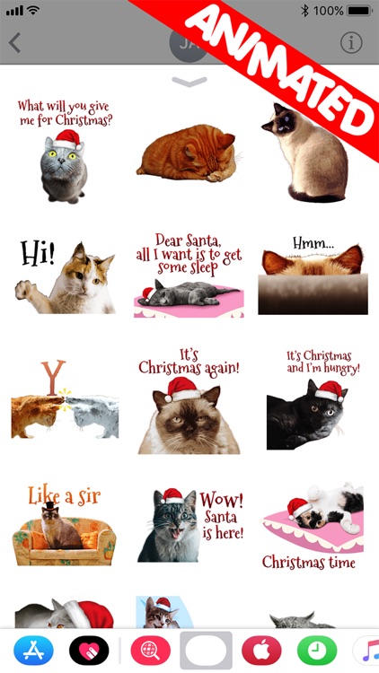 Cute Christmas Cats (animated)