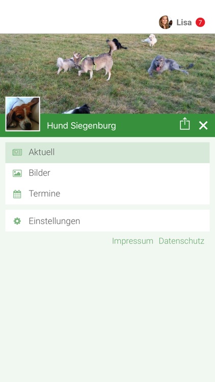 Hund Siegenburg