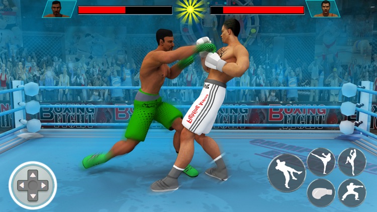 Ninja Punch Boxing screenshot-5