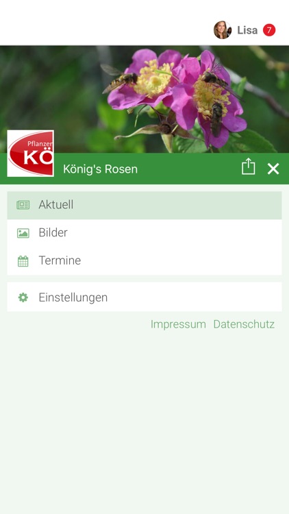 König's Rosen