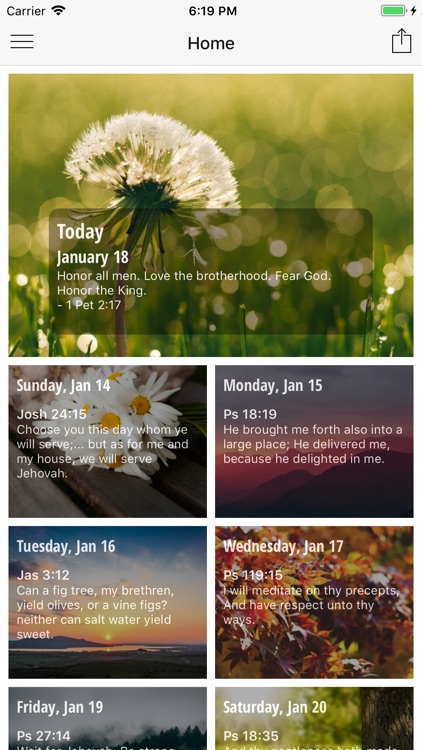 Daily Prayer Guide - Lite