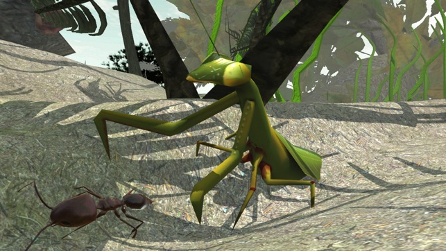 Ant Simulator 3D(圖5)-速報App