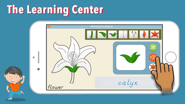 Learn Botany - Parts of Plants(圖2)-速報App