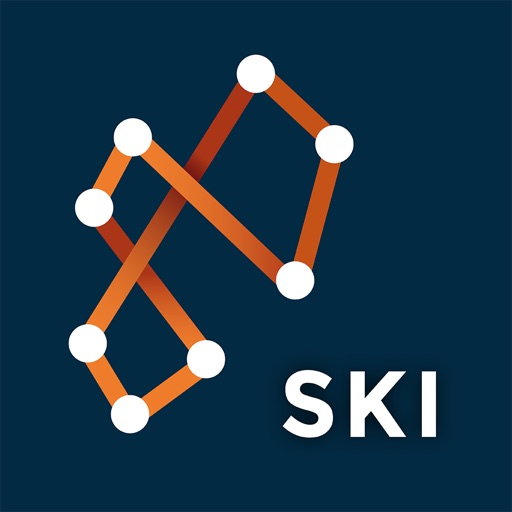 Racefox Ski Icon