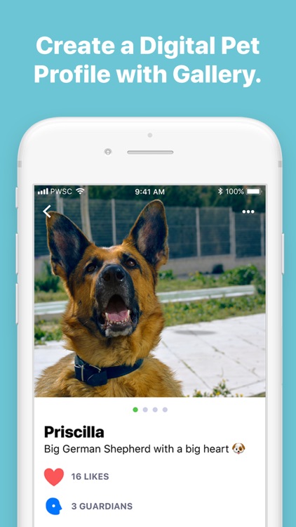 Pawscout screenshot-3