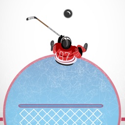 Hockey Goal Stopper