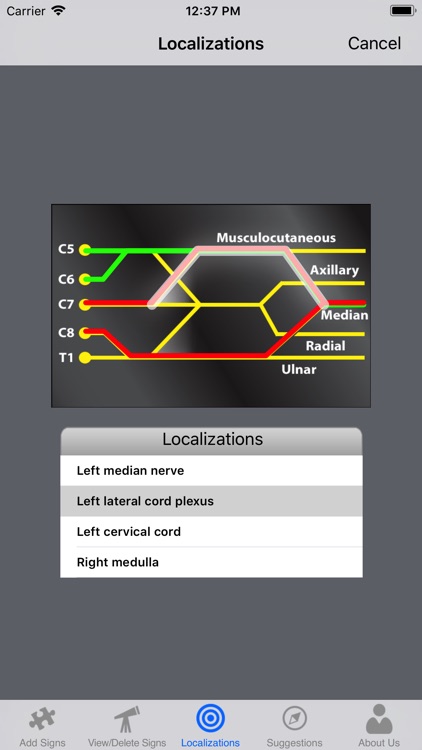 Neuro Localizer screenshot-4