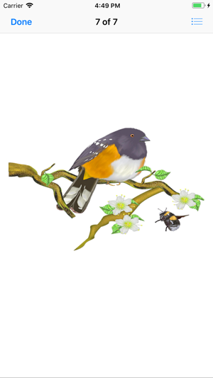 Bitty Bird Stickers(圖9)-速報App