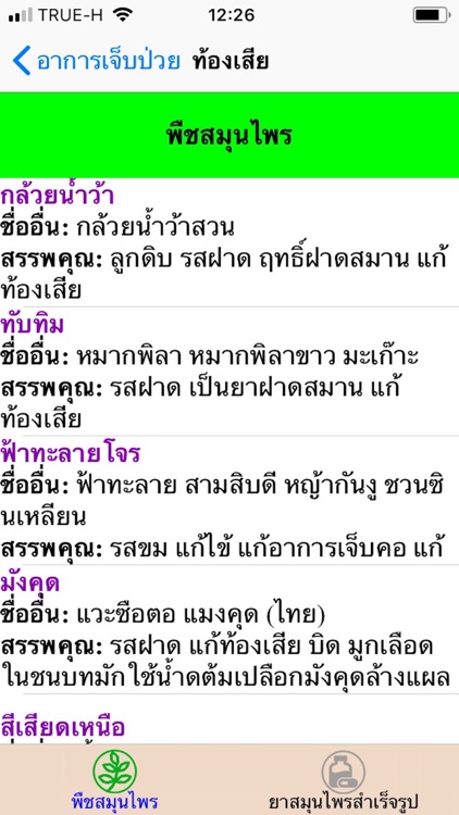 สมุนไพรเฟิร์ส