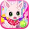 Princess kitten - pet dressup games