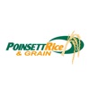 Poinsett Rice & Grain INC