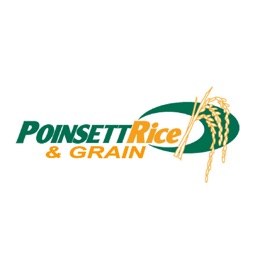 Poinsett Rice & Grain INC