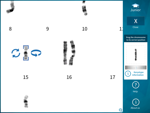 Training Karyotypes Lite screenshot 2